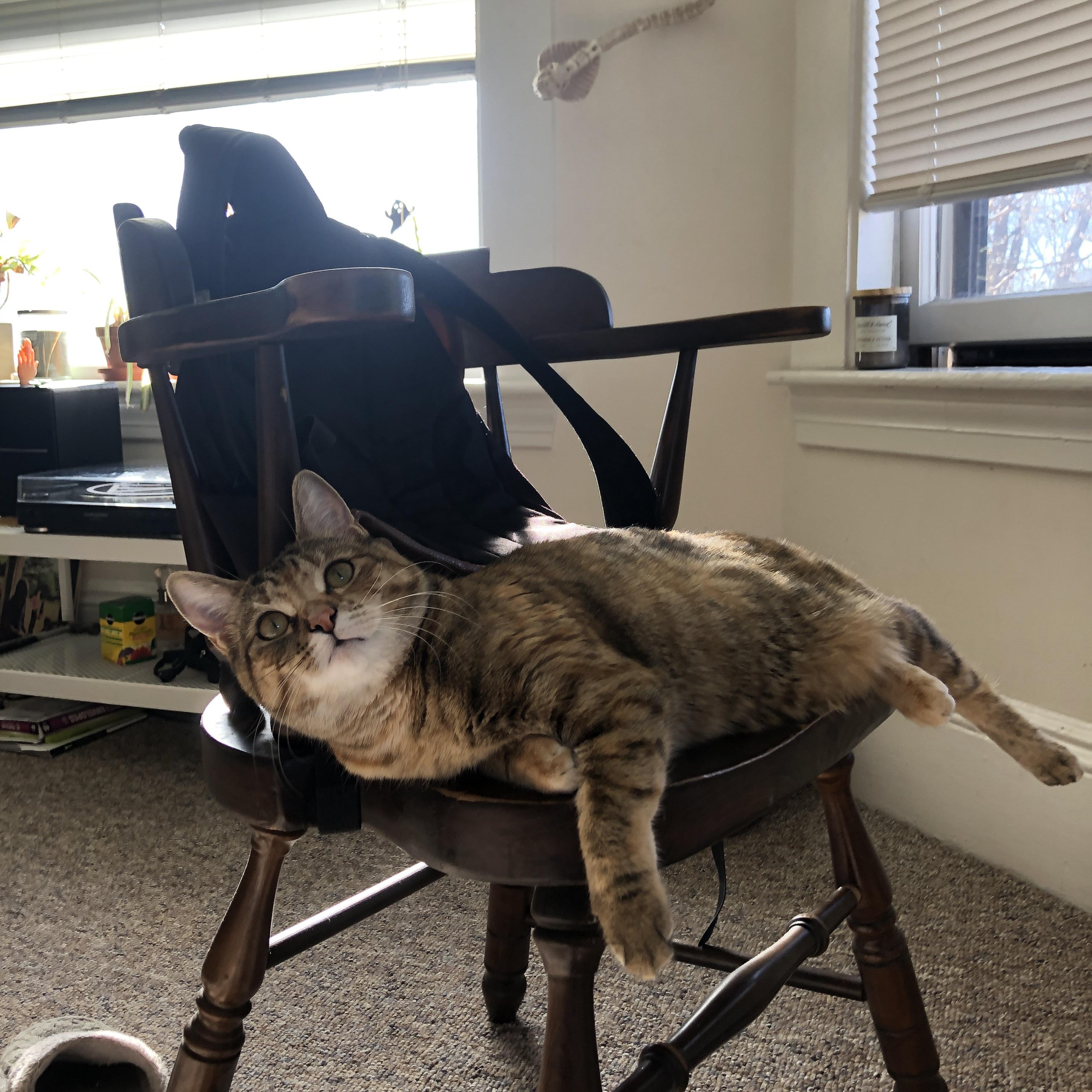 开云体育app-当伊拉克摔碎日本的期望，萨内末节重塑胜利的哲学