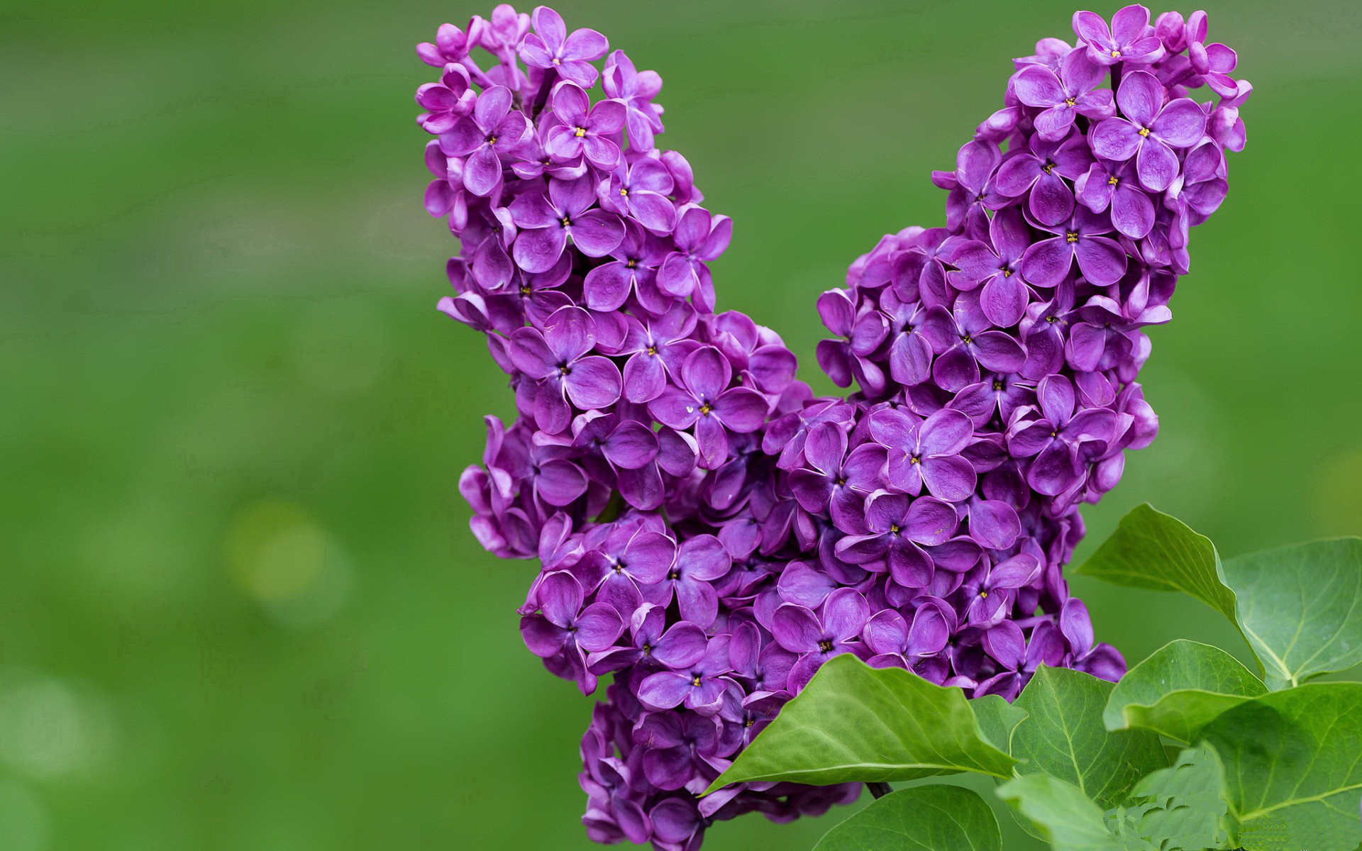 英超争冠焦点战与吉林队踏平步行者，跨界战术的共鸣
