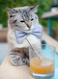 钥匙与锁的博弈，欧文以天才之钥解开爵士铁血防守