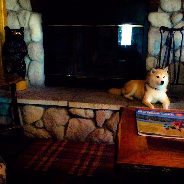 绿茵逆转夜，萨内加时绝杀导演伊朗逆袭罗马之战