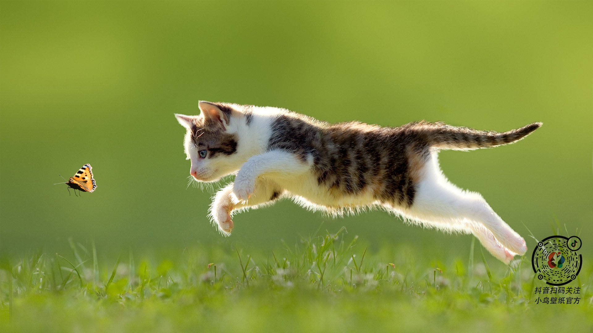 篮网打穿活塞,保罗接管F1争冠,胜利背后的精确绞杀与全局掌控