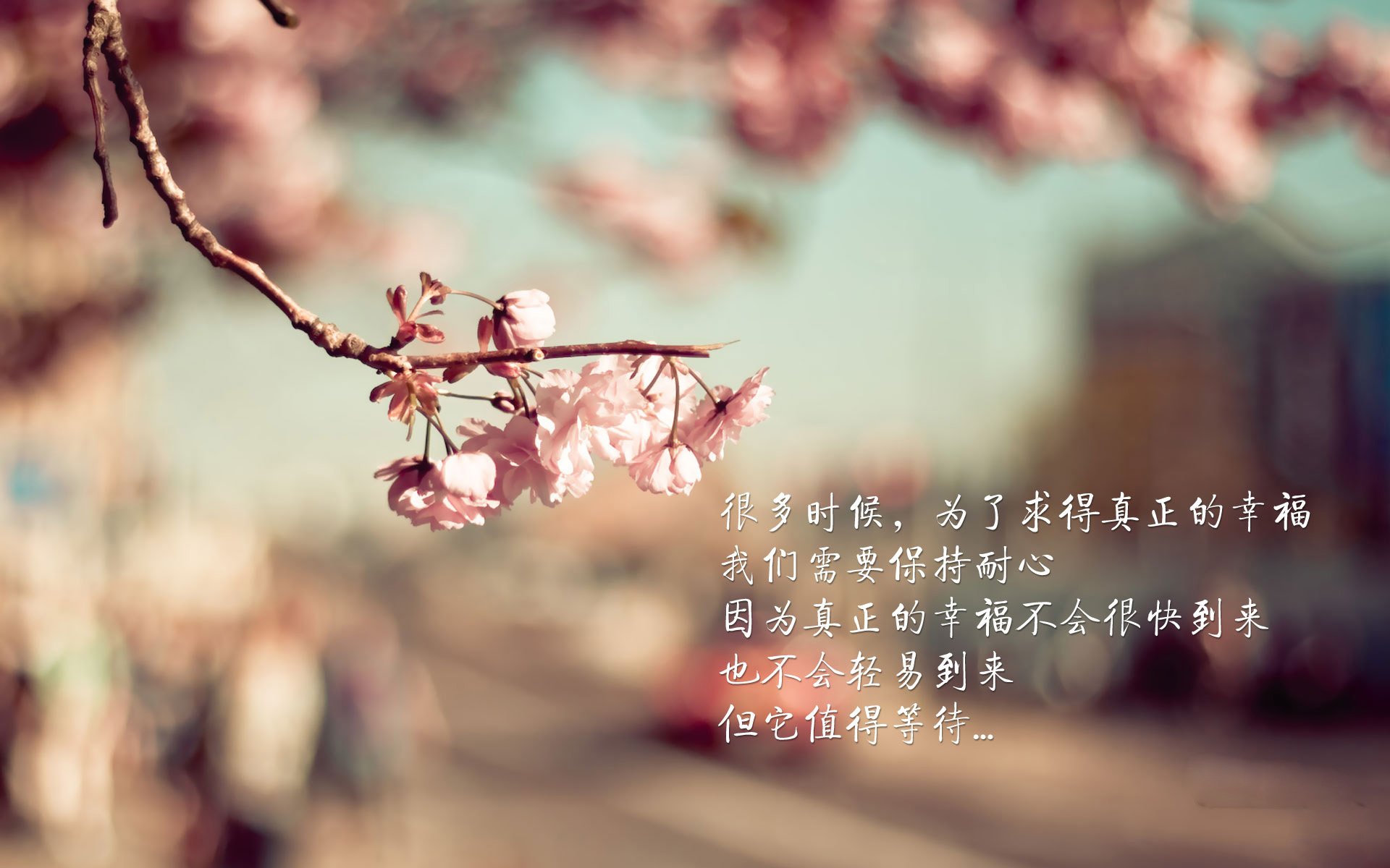 托尼定律,当总决赛灯光亮起