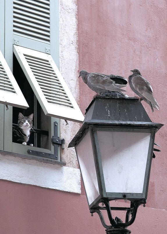 命运时钟的最后五分钟，英格拉姆撕裂辽宁防线的寂静风暴