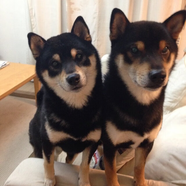 鹰啸费城,年度焦点战背后,老鹰如何粉碎76人的冠军野心?