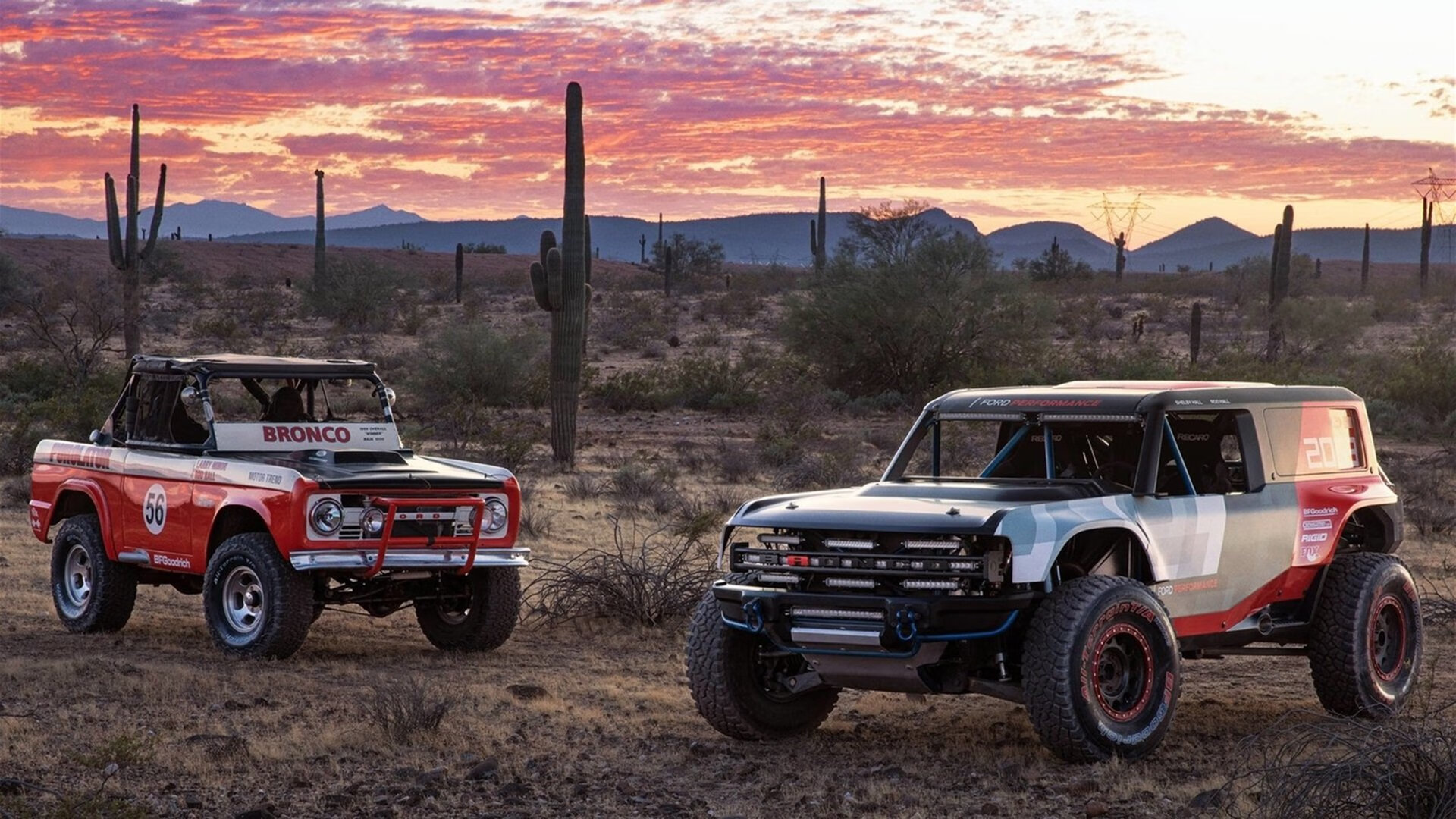 时空裂隙，当库里身披绿衫拯救宿敌