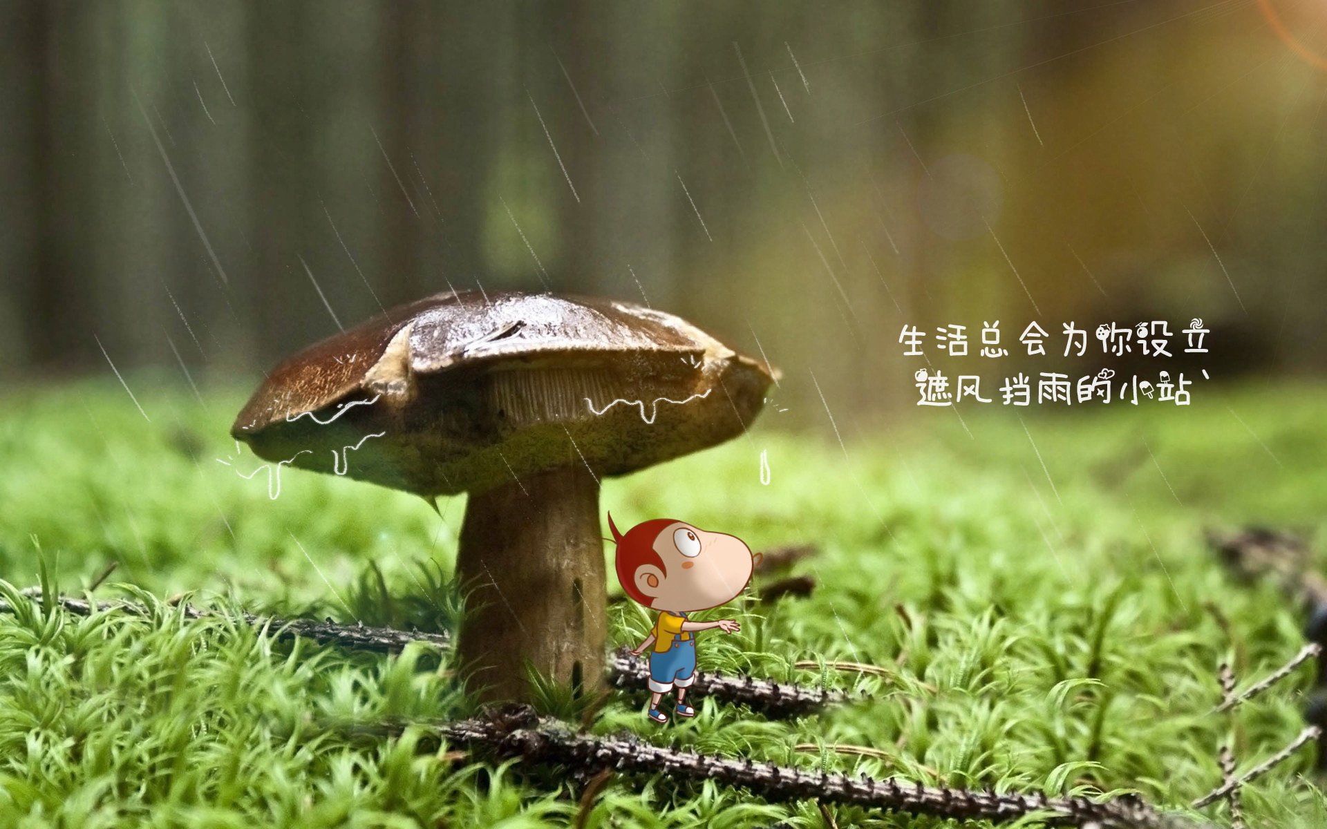 安第斯之巅的鹰啸,秘鲁奇迹与穆西亚拉的孤独舞步