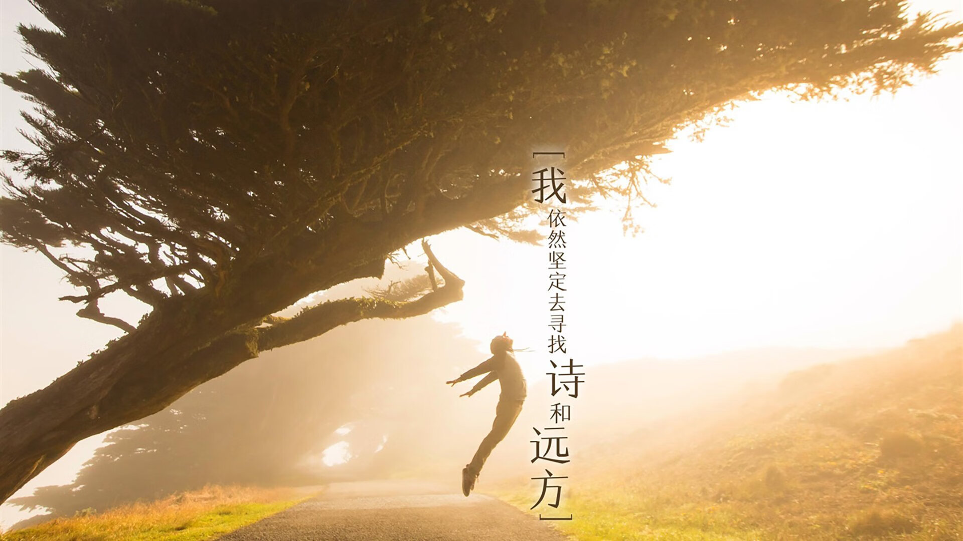 E组狂飙,瑞士战车碾压伊拉克,德布劳内上演魔术师独舞