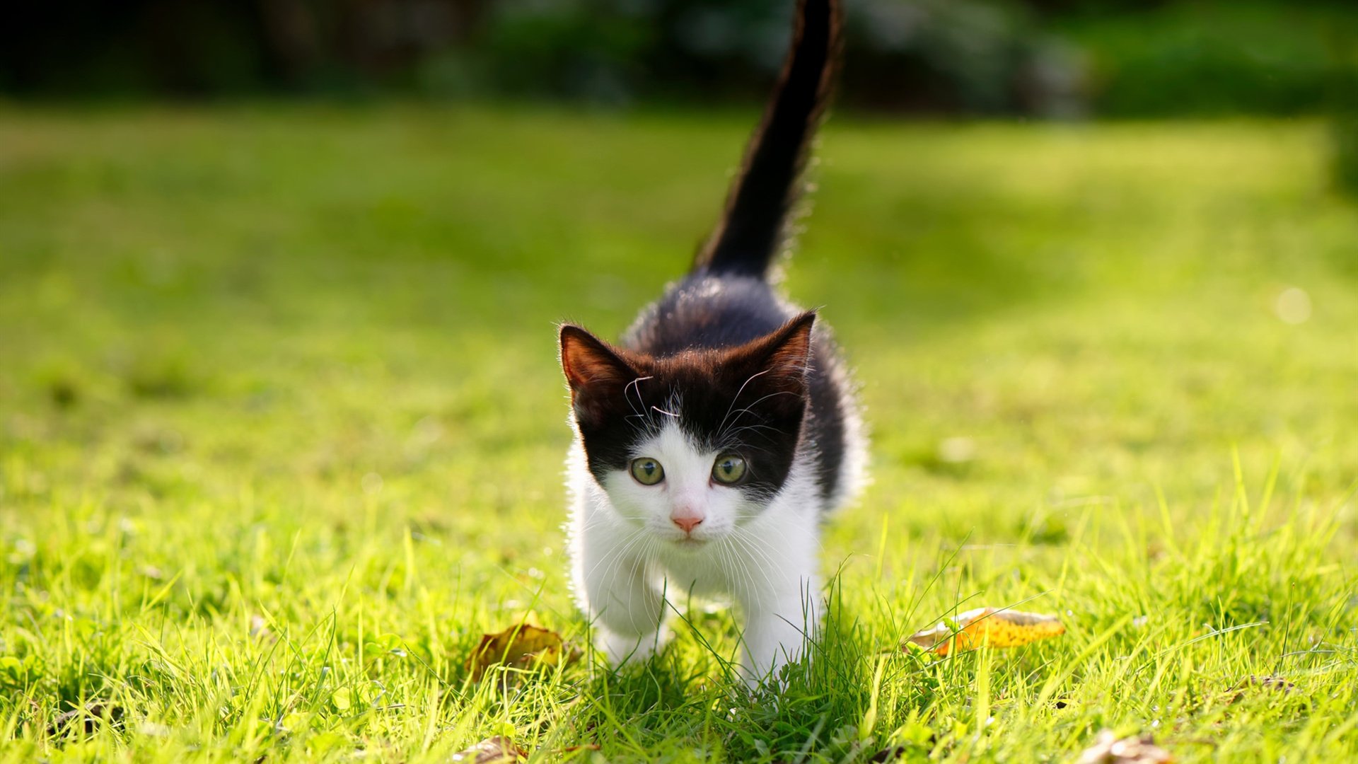 首先，扩展思维，构思几个文章标题