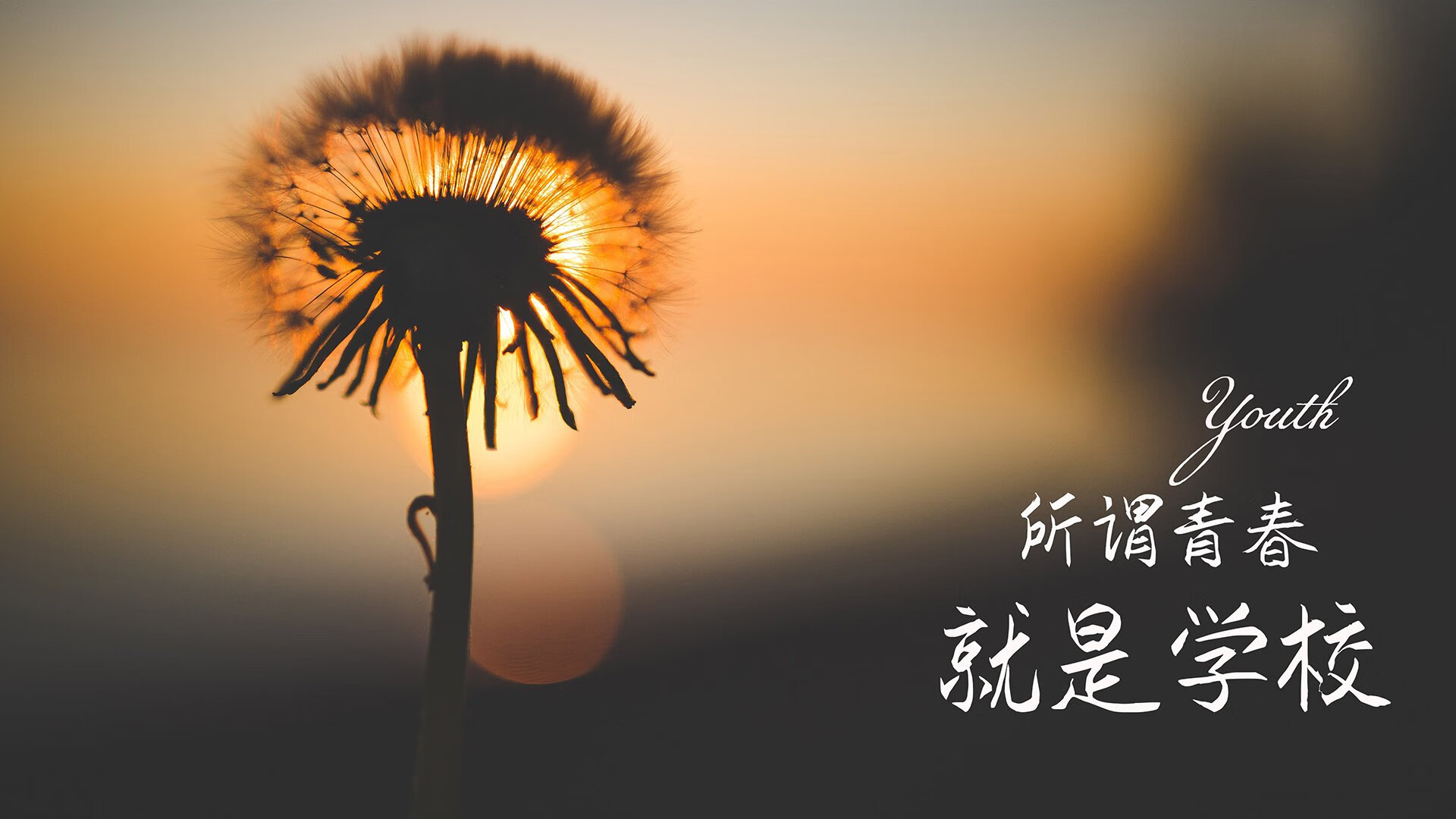 太极虎的咆哮，当全场压制成为唯一的答案—2026世界杯H组韩国大胜意大利，德容完成致命一击